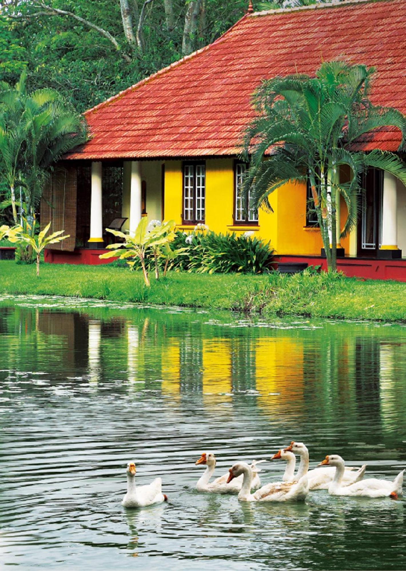 Taj Kumarakom Resort And Spa Kerala Bilik gambar