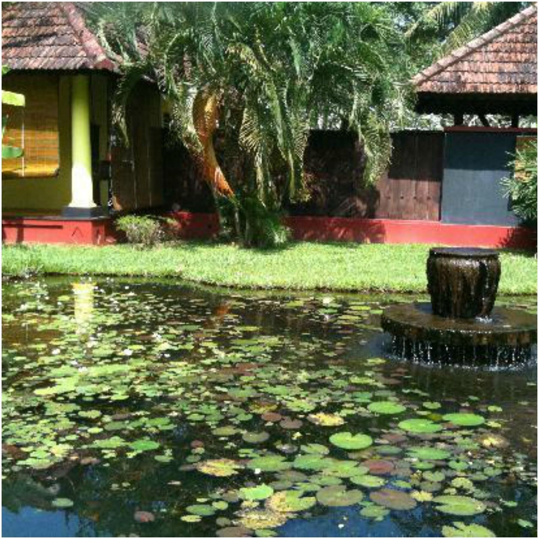 Taj Kumarakom Resort And Spa Kerala Luaran gambar
